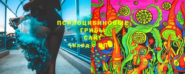 соль ск Лабытнанги