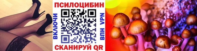 Галлюциногенные грибы мицелий  купить  цена  Владимир 