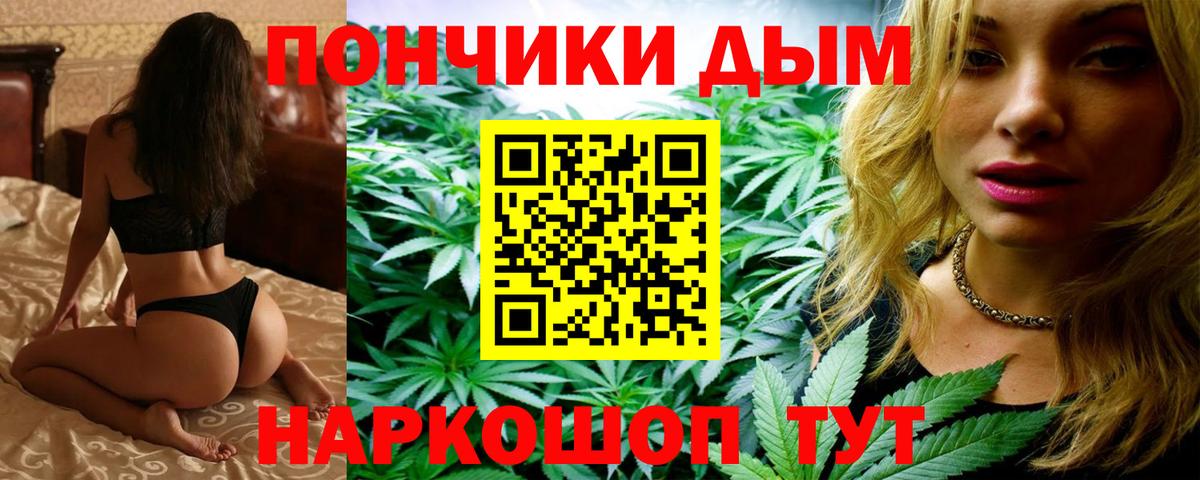 Шишки марихуана семена Владимир
